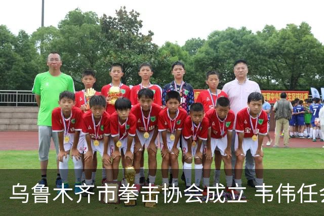 乌鲁木齐市拳击协会成立 韦伟任会长